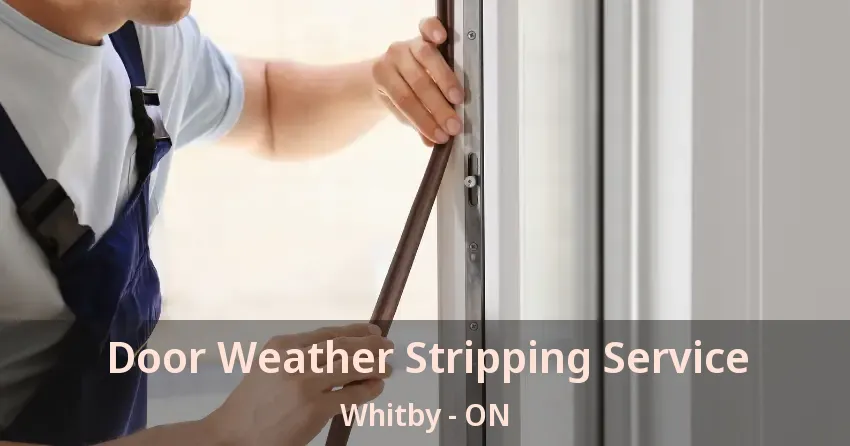Door Weather Stripping Service Whitby - ON