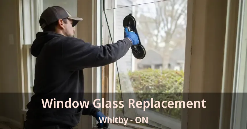 Window Glass Replacement Whitby - ON